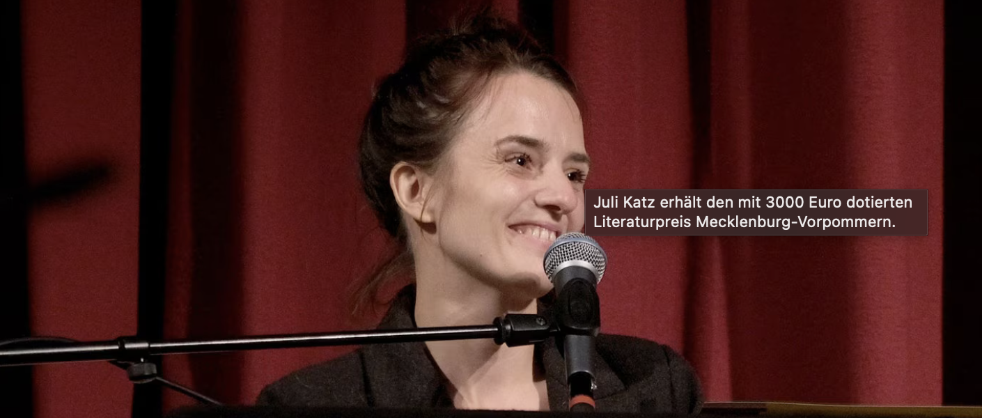 literaturpreis mv abgesahnt