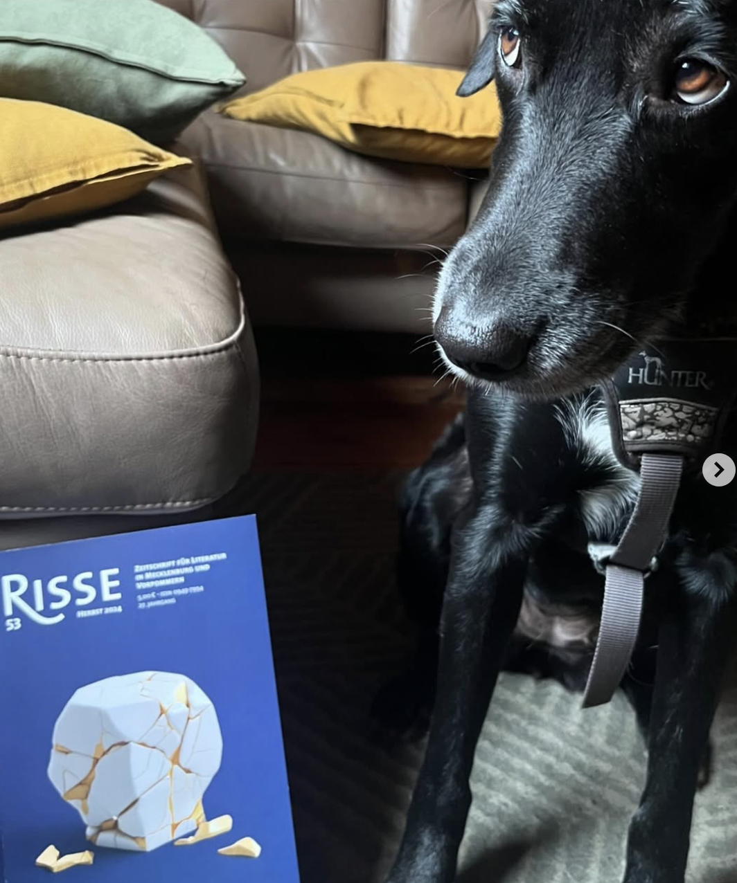 in „risse“ erwähnt worden