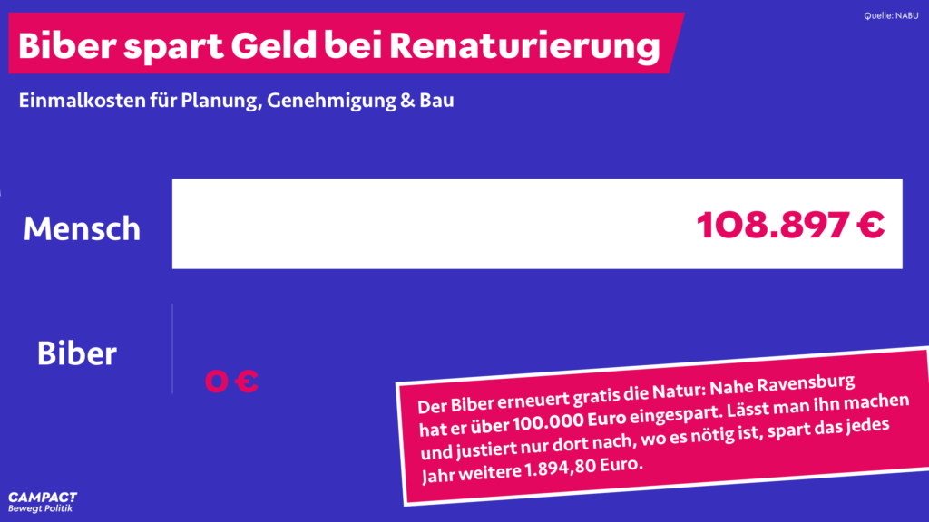 Balkendiagramm: Renaturierung kostet den Menschen 108.897 Euro, den Biber 0 Euro
